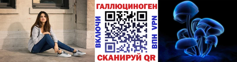 Псилоцибиновые грибы Psilocybe  Гаврилов-Ям 